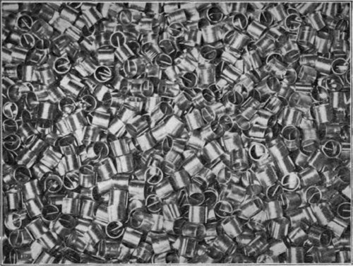 Fig. 165.   Lessing Rings.