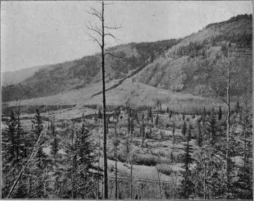 Alluvial cone, trenched by stream, with secondary cofte below.