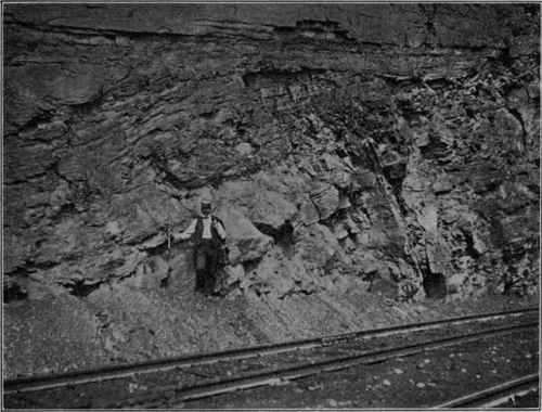 Angular unconformity, west of Altoona, Pa. (U. S. G. S).