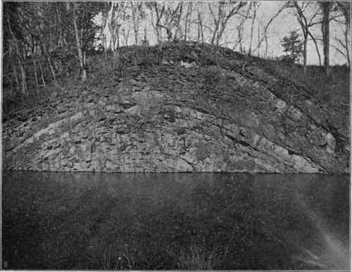 Anticline near Hancock, Md. (U. S. G. S).