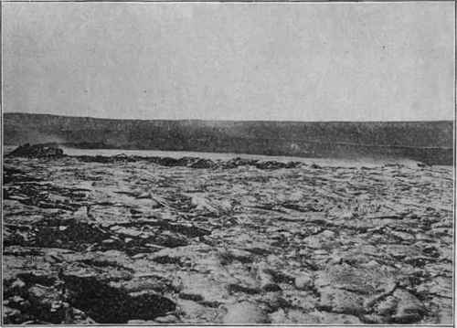 Crater floor of Kilauea, showing the lava lake, Hale mau mau. (Photograph by Libbey).