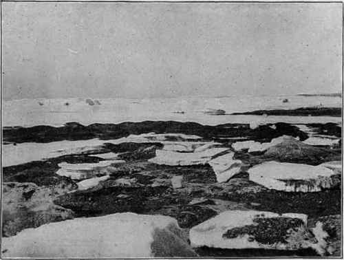 Deposit partly made by strandad ice, west coast of Greenland.