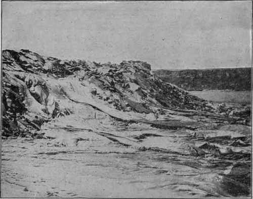 Edge of Hale mau mau, showing the ropy forms of the highly fluid lava, when cooling.