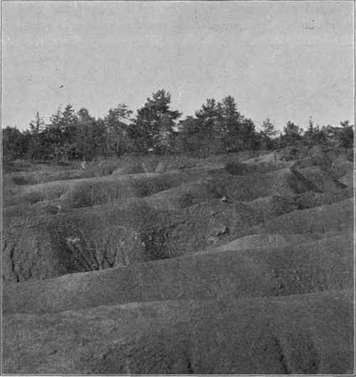 Erosion following removal of forest; Great Smoky Mts., Term.