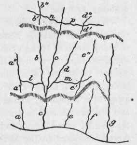 Evolution of a river system, second stage. (De Lapparent).