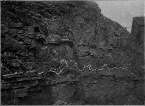 Lava flow on sandstone, Upper Montclair, N.J. (Photograph by van Ingen).