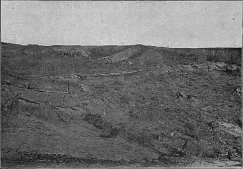 Petrified logs, exposed by weathering of tuffs, Arizona. (Photograph by Sinclair).