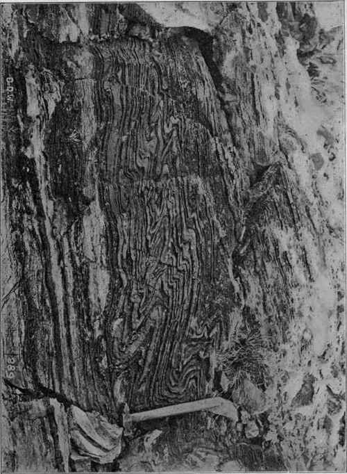 Plicated beds on unfolded ones; Mineral Ridge, Nevada. (U. S. G. S).