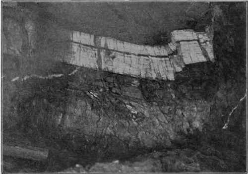 Small faults in the roof of a mine, Idaho. Near the right end, a tiny Horst. (U. S. G. S).