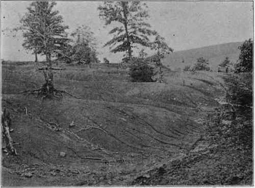 Soil destruction due to removal of forest; Mitchell Co., N.C.