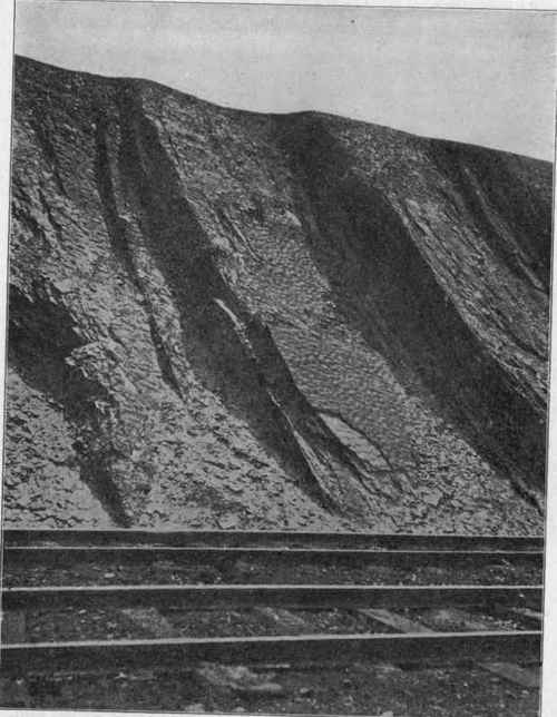 Steeply inclined beds of ripple marked shale; near Altoona, Pa.
