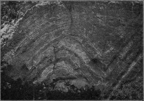 Symmetrical folds; anticline on left, and syncline on right.