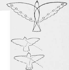 Plain Surface Kites Continued 48