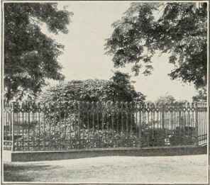 Boulder, Marking The Spot Where Hus Was Burned.