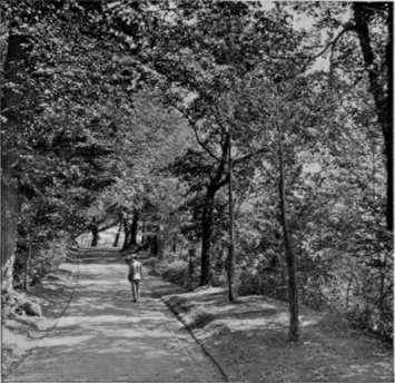 In The Park At Pau.