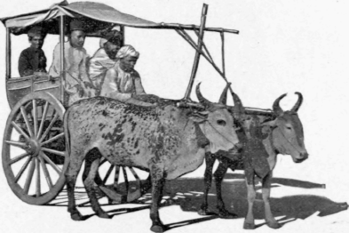 A Calcutta Herdic
