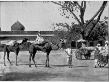 A Scene In Jeypore