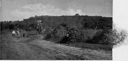 An Indian Landscape