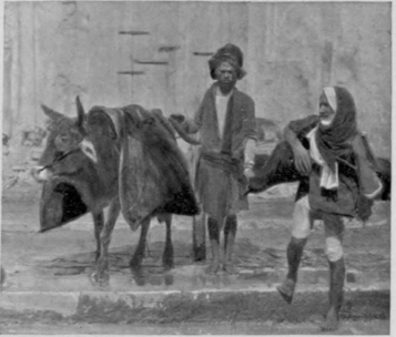 Carrying Away The Ganges Water