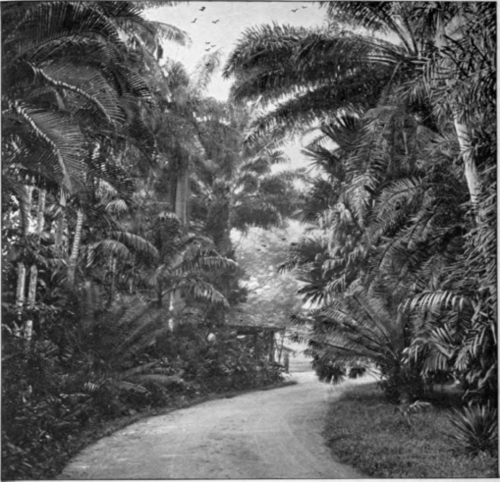 Entrance To The Gardens
