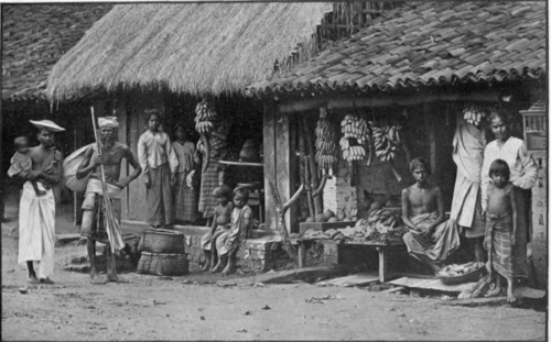 Native Life, Colombo