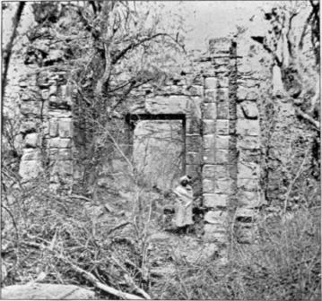 Ruin And Jungle