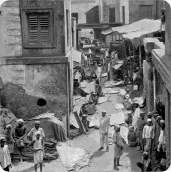 The Native Quarter