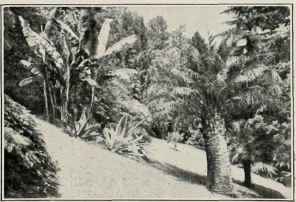 In The Gardens Of The Villa Carlotta.