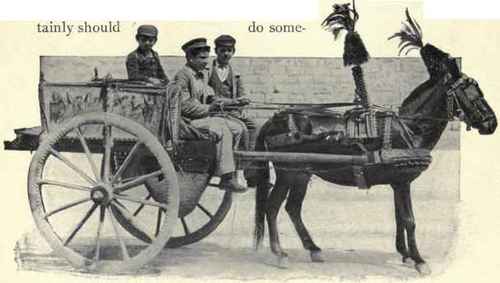 A Decorated Donkey.