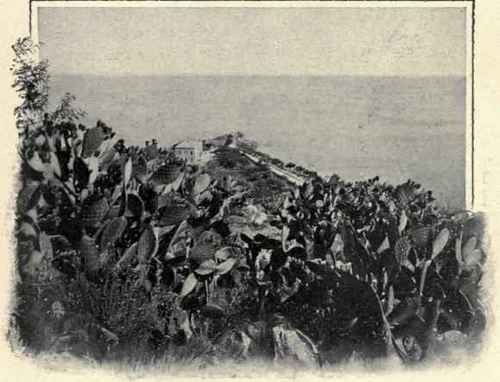 A Sicilian Promontory.