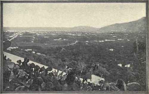 A View Of La Con'Ca D'Oro, From Monreale.