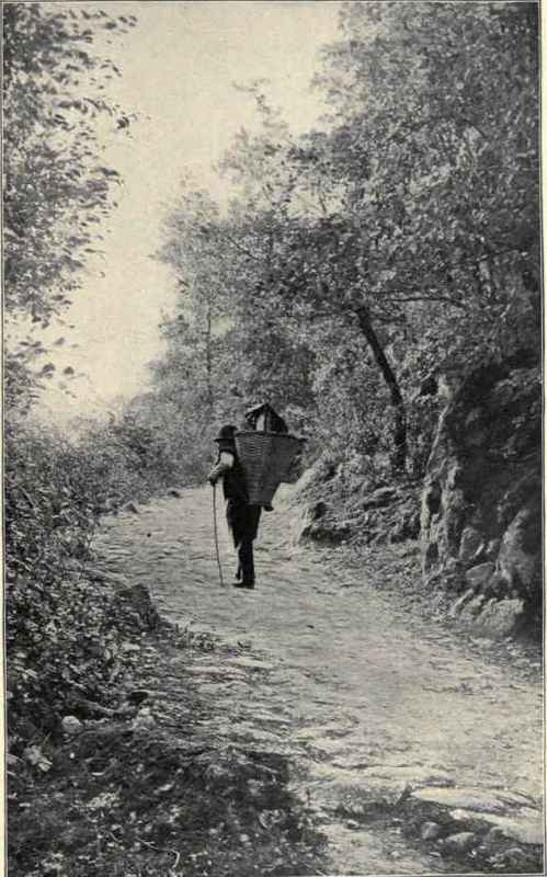 A Tyrolese Peasant With Shoulder Basket.