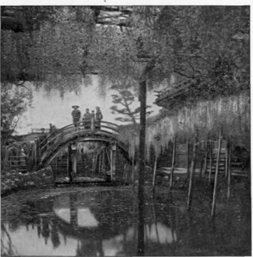 A Tea House Ornamented With Wistaria