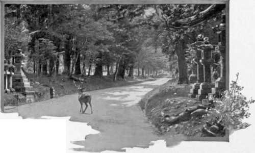 Approach To The Temple At Nara.