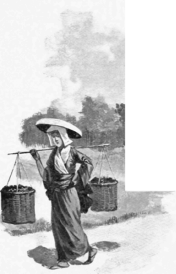Carrying Tea From The Field