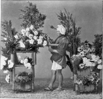 Flower Merchant