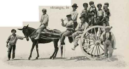 A Maltese Group.