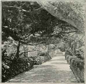 In The Botanical Gardens.