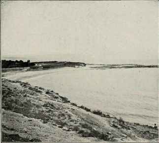 Mediterranean Coast, Near Sidon.