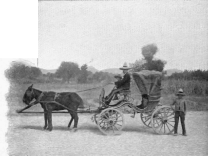 A Mexican Private Carriage