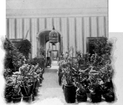 Courtyard Of A Mexican House