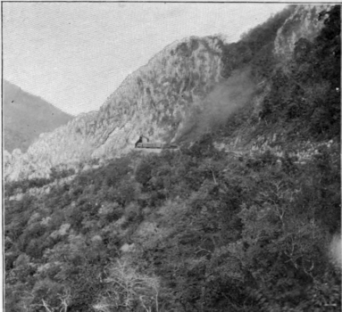 Railroad To Tampico