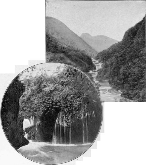 Scenery Near Tampico