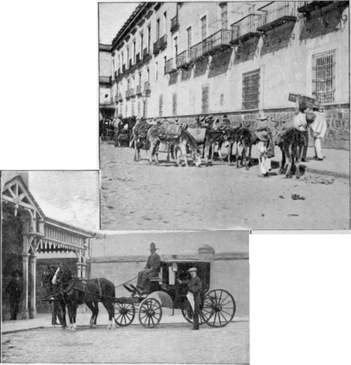 Street With Burros