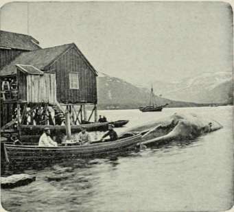 Tromso.