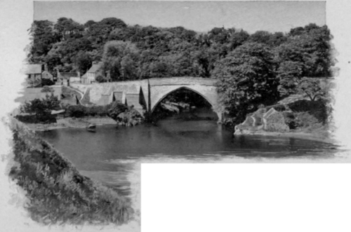 Along The River Bank