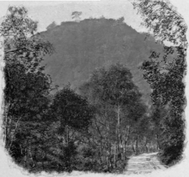 Near Roderick's Watchtower