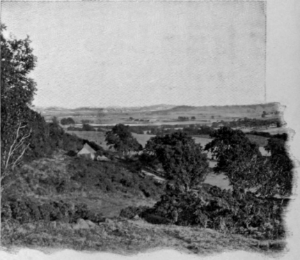 The Field Of Bannockburn