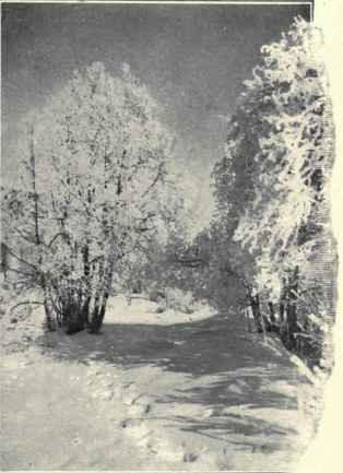 The Engadine In Winter.