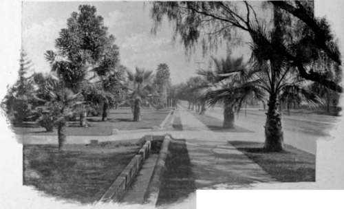 A Palm Girt Avenue, Los Angeles